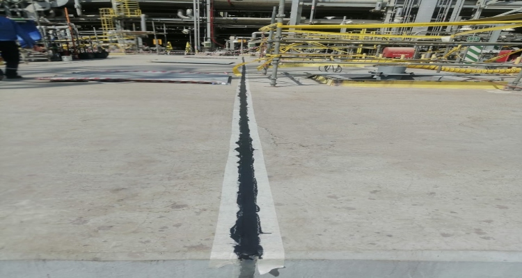 WhatsApp Image 2022-05-06 at 1.45.45 AM